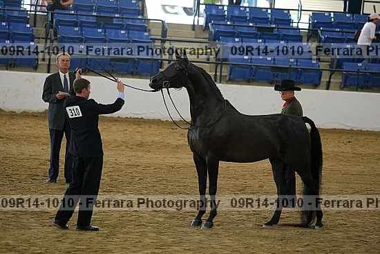 Proof 09r14-1010