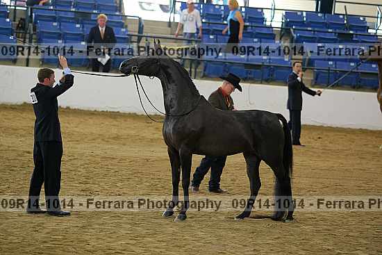 Proof 09r14-1014