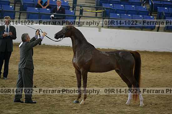 Proof 09r14-1022