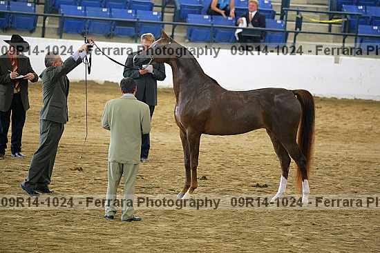 Proof 09r14-1024