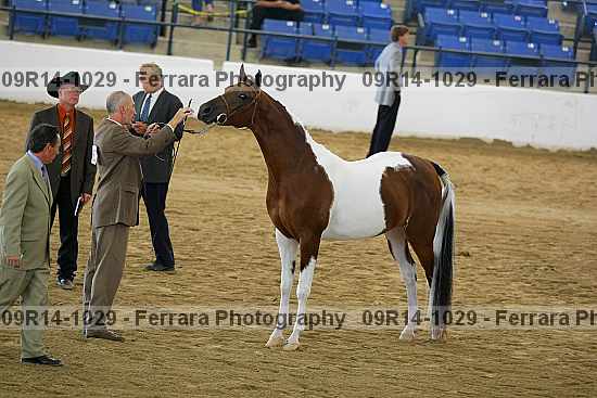 Proof 09r14-1029