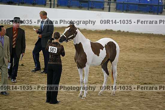Proof 09r14-1035
