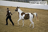 09r14-1037 proof