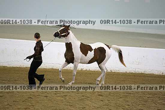 Proof 09r14-1038
