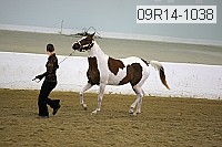 09r14-1038 proof