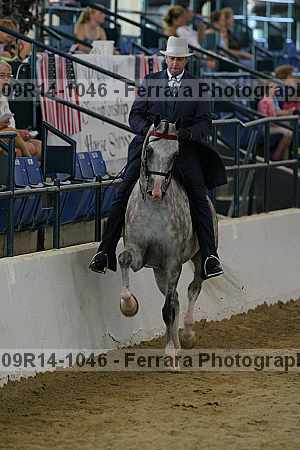 Proof 09r14-1046