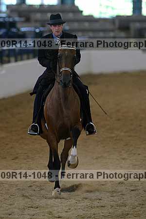 Proof 09r14-1048