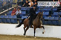 09r14-1063 proof