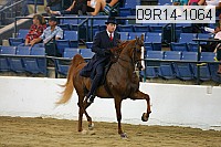 09r14-1064 proof