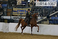 09r14-1067 proof