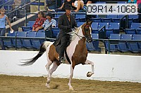 09r14-1068 proof