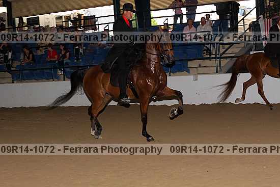 Proof 09r14-1072