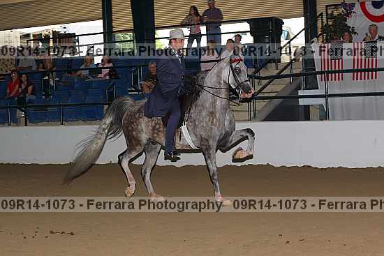 Proof 09r14-1073
