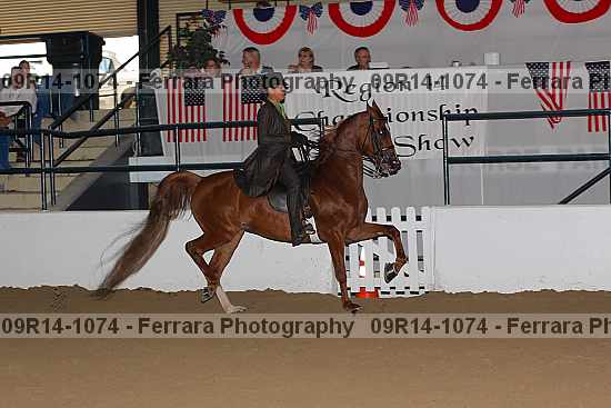 Proof 09r14-1074