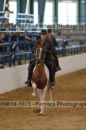 Proof 09r14-1075