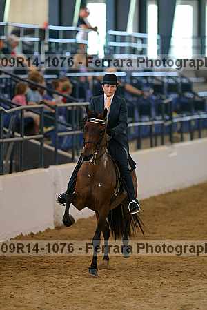 Proof 09r14-1076