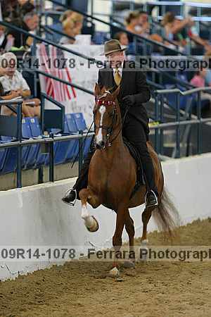 Proof 09r14-1078