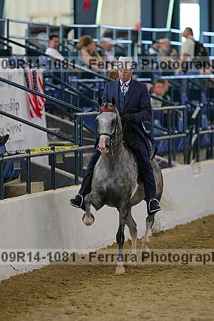 Proof 09r14-1081