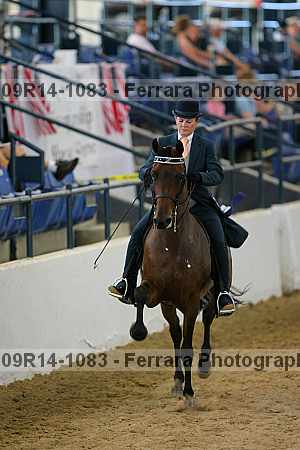 Proof 09r14-1083