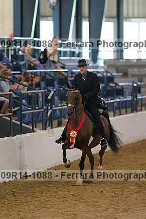 Proof 09r14-1088