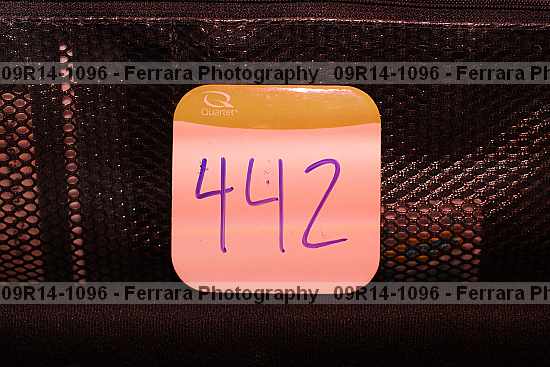 Proof 09r14-1096