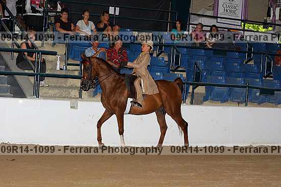Proof 09r14-1099