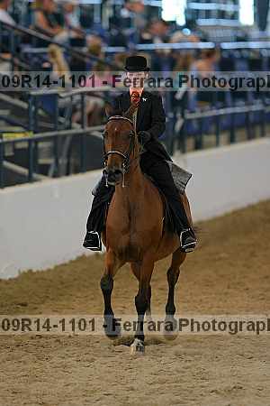 Proof 09r14-1101
