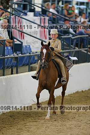 Proof 09r14-1118