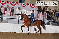 09r14-1124 proof