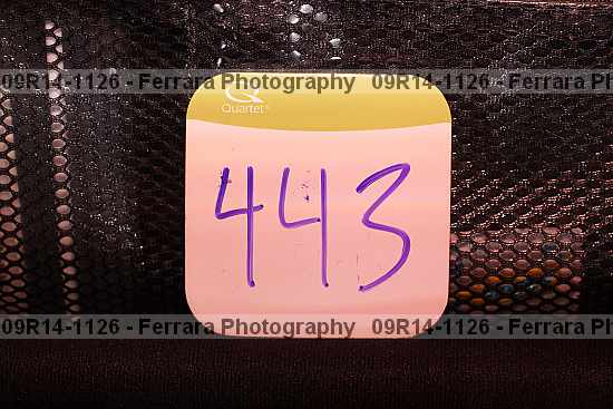 Proof 09r14-1126