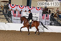 09r14-1133 proof