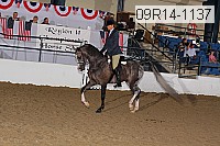 09r14-1137 proof