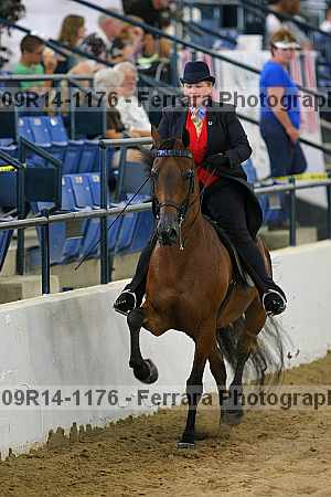 Proof 09r14-1176