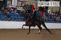 09r14-1182 proof