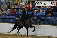09r14-1186 proof