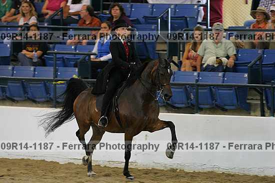 Proof 09r14-1187