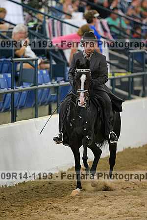 Proof 09r14-1193