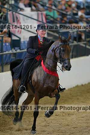 Proof 09r14-1201