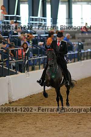 Proof 09r14-1202