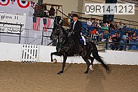09r14-1212 proof