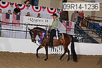 09r14-1236 proof