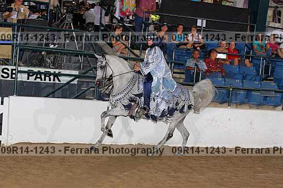 Proof 09r14-1243