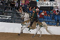 09r14-1246 proof