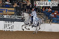 09r14-1263 proof