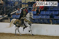 09r14-1264 proof