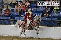 09r14-1265 proof