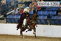 09r14-1266 proof