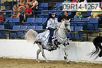 09r14-1267 proof