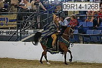 09r14-1268 proof