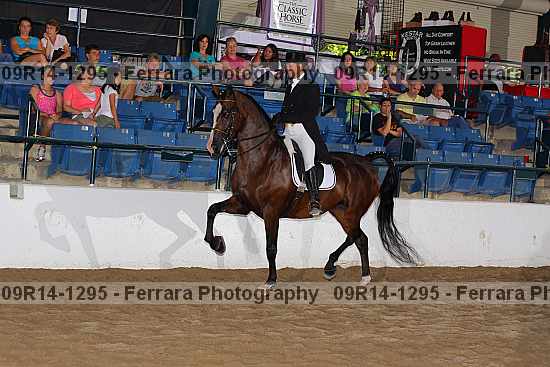 Proof 09r14-1295
